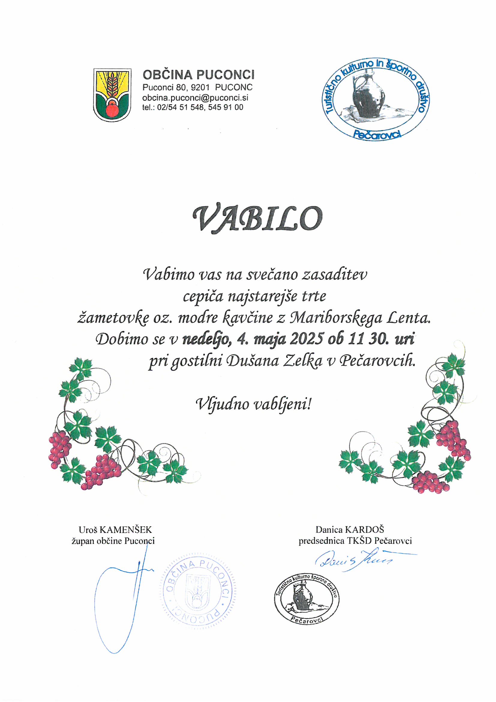 Vabilo, zasaditev trte